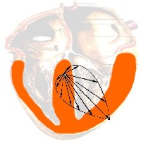 вектор э.о.с.